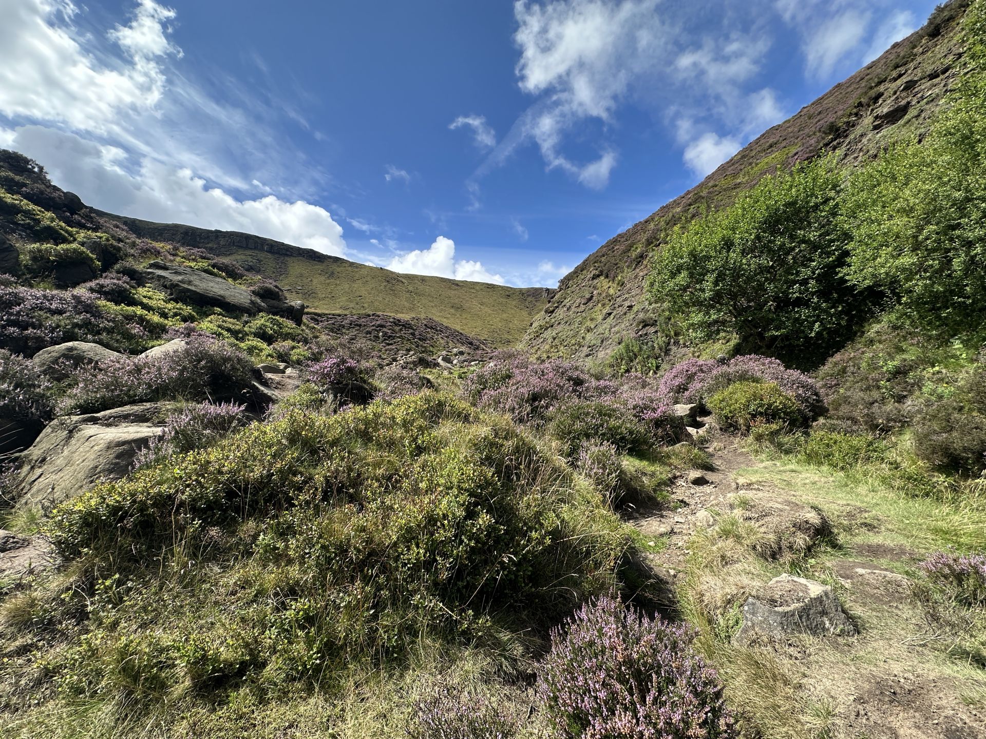 Grindsbrook Clough
